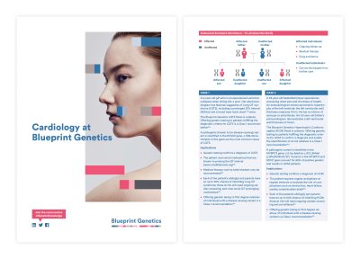 Brochure layouts and infographics